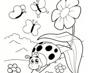 Coloriage Coccinelle et les insectes du jardin