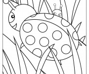 Coloriage Coccinelle et nature