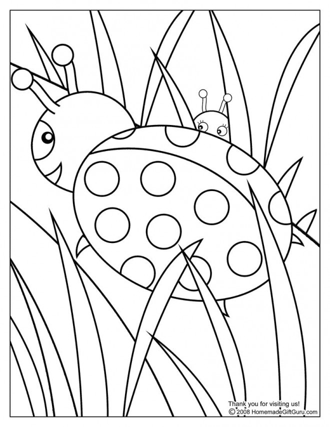 Coloriage Coccinelle Et Nature Dessin Gratuit à Imprimer