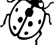 Coloriage Coccinelle Européenne