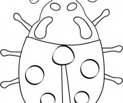 Coloriage Coccinelle insecte à complèter