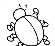 Coloriage Coccinelle sans points