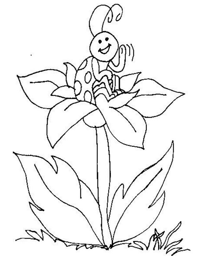 Coloriage Coccinelle Sur Une Fleur Dessin Gratuit à Imprimer