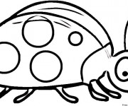 Coloriage Coccinelle surpris