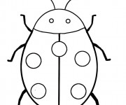 Coloriage et dessins gratuit Coccinelle vue de face à imprimer