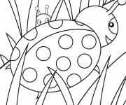 Coloriage Coccinelles au jardin