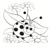 Coloriage Modèle Coccinelle