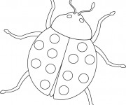 Coloriage Une Coccinelle maternelle