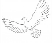 Coloriage et dessins gratuit Colombe ouvre ses ailes à imprimer