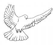 Coloriage Colombe qui ouvre ses ailes pour enfant