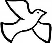 Coloriage Colombe simple &agrave; t&eacute;l&eacute;charger