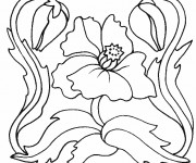 Coloriage Coquelicot Artistique