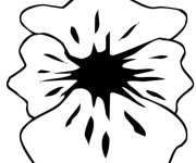 Coloriage Coquelicot facile &agrave; t&eacute;l&eacute;charger