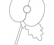 Coloriage Coquelicot simple &agrave; compl&eacute;ter