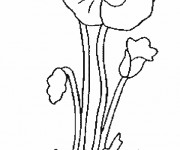 Coloriage et dessins gratuit Coquelicot stylisé en couleur à imprimer