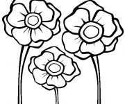 Coloriage Coquelicots dessin facile