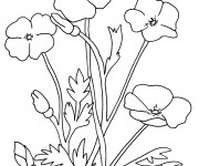 Coloriage Fleur et Plante