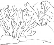 Coloriage et dessins gratuit Corail à découper à imprimer