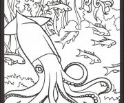 Coloriage Corail et Animaux marins