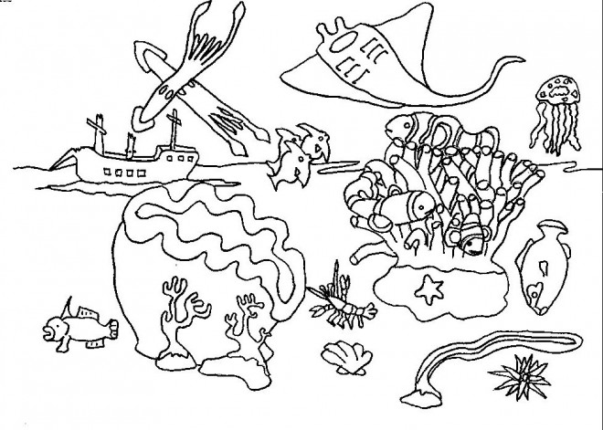 Coloriage et dessins gratuits Corail et autres créatures de mer à imprimer