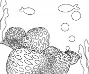 Coloriage Corail et poissons à compléter