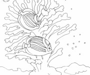 Coloriage Corail et Poissons exotiques