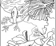 Coloriage Corail Plante marine