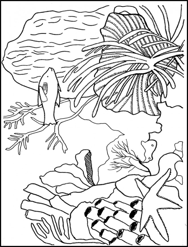 Coloriage et dessins gratuits Corail Plante marine à imprimer