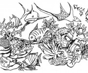 Coloriage Corail Poissons de mer en vecteur