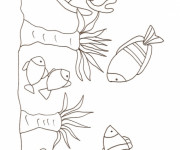 Coloriage et dessins gratuit Corail simple à imprimer