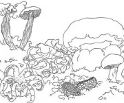 Coloriage Coraux au crayon