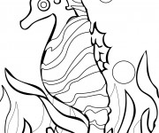 Coloriage Coraux et Hippocampe vecteur