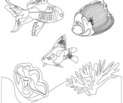 Coloriage Coraux et Poissons exotiques