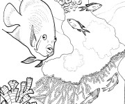 Coloriage Coraux et Poissons maternelle