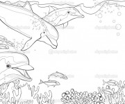 Coloriage Dauphins et Corail