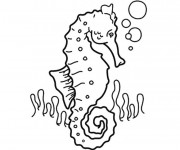 Coloriage et dessins gratuit Hippocampe et Corail à imprimer