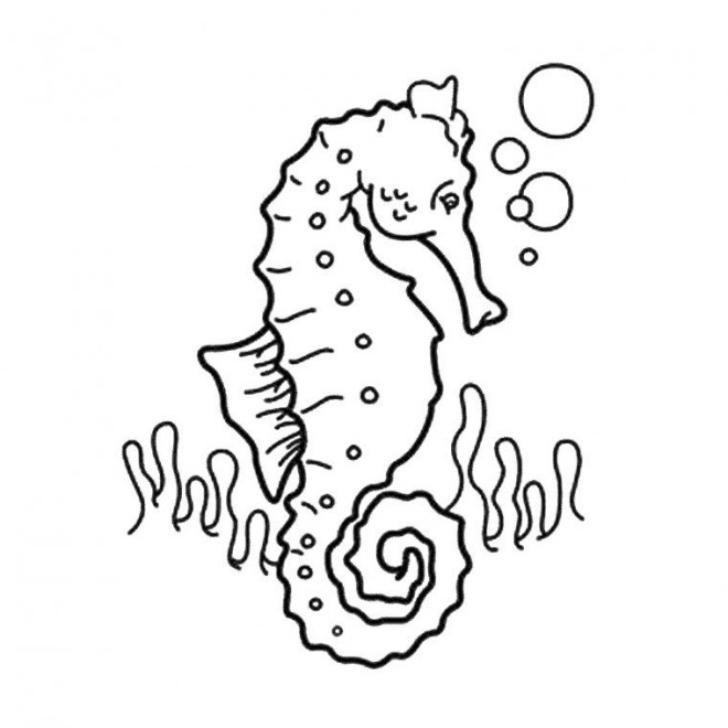 Coloriage et dessins gratuits Hippocampe et Corail à imprimer