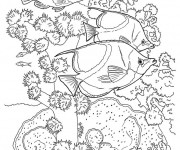 Coloriage Poissons exotiques nageant par le Corail