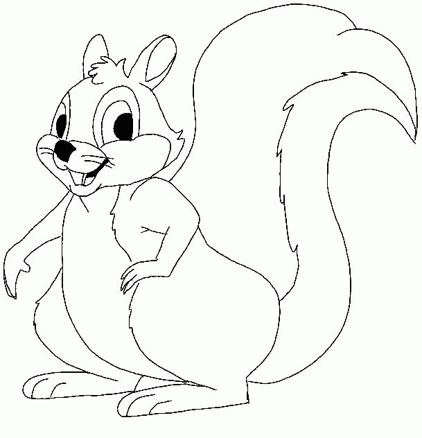 Coloriage Ecureuil gratuit à imprimer liste 20 à 40