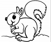 Coloriage Ecureuil 23