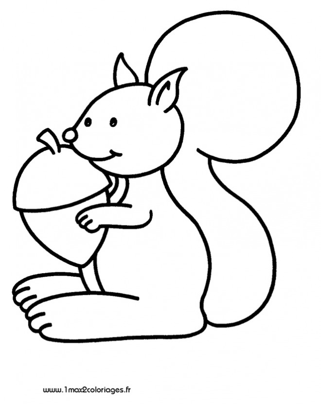 Coloriage Ecureuil gratuit à imprimer liste 20 à 40