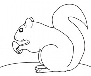 Coloriage Ecureuil 30