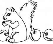 Coloriage Ecureuil 32