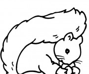 Coloriage Ecureuil 37