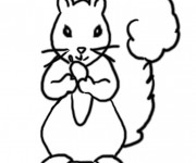 Coloriage Ecureuil 38