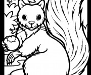 Coloriage Ecureuil 39