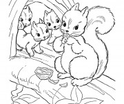 Coloriage Ecureuil 41