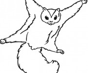 Coloriage Ecureuil 42