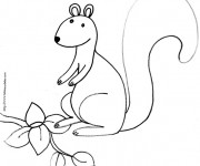Coloriage Ecureuil 43