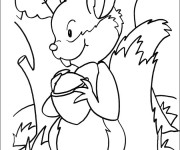 Coloriage Ecureuil 44